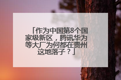 作为中国第8个国家级新区，腾讯华为等大厂为何都在贵州这地落子？