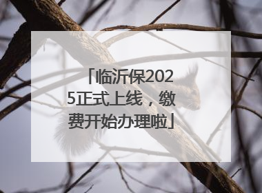 临沂保2025正式上线，缴费开始办理啦