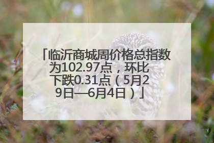临沂商城周价格总指数为102.97点，环比下跌0.31点（5月29日—6月4日）
