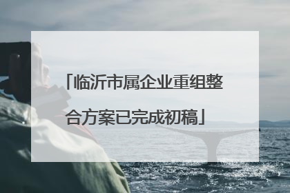 临沂市属企业重组整合方案已完成初稿