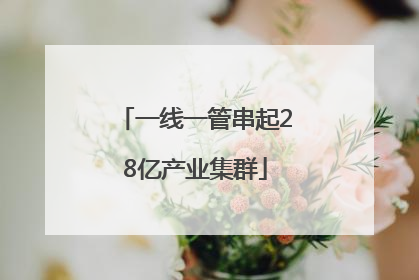 一线一管串起28亿产业集群