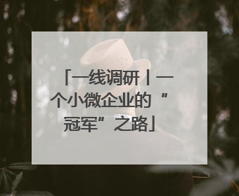 一线调研丨一个小微企业的“冠军”之路