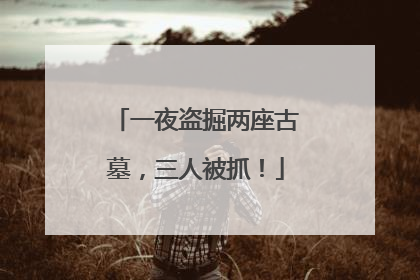 一夜盗掘两座古墓，三人被抓！
