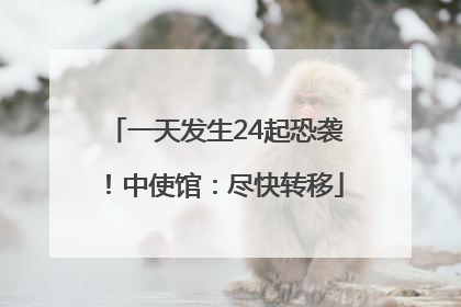 一天发生24起恐袭！中使馆：尽快转移
