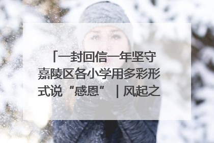 一封回信一年坚守 嘉陵区各小学用多彩形式说“感恩”｜风起之江 扶摇直上