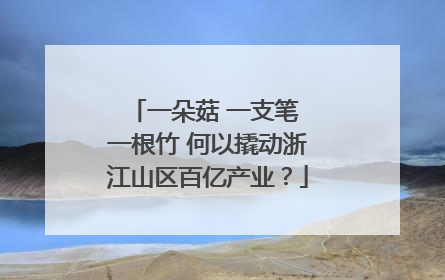 一朵菇 一支笔 一根竹 何以撬动浙江山区百亿产业？