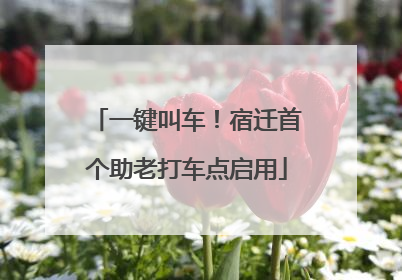 一键叫车！宿迁首个助老打车点启用