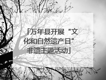 万年县开展“文化和自然遗产日”非遗主题活动