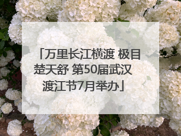 万里长江横渡 极目楚天舒 第50届武汉渡江节7月举办
