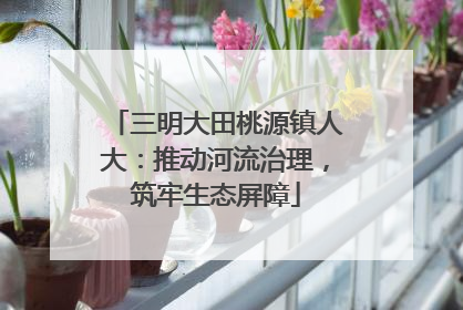 三明大田桃源镇人大：推动河流治理，筑牢生态屏障