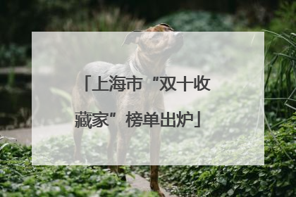 上海市“双十收藏家”榜单出炉