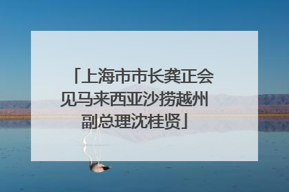 上海市市长龚正会见马来西亚沙捞越州副总理沈桂贤