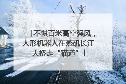 不惧百米高空强风，人形机器人在燕矶长江大桥走“猫道”