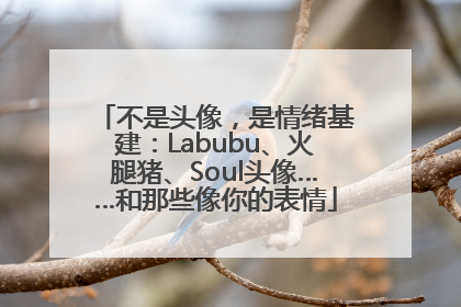 不是头像，是情绪基建：Labubu、火腿猪、Soul头像……和那些像你的表情