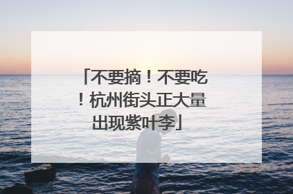 不要摘！不要吃！杭州街头正大量出现紫叶李