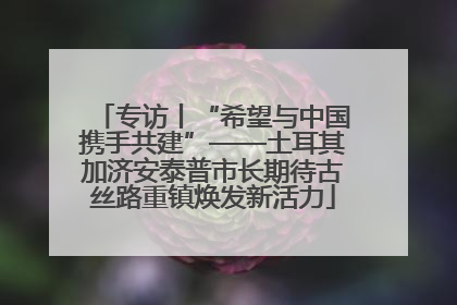 专访丨“希望与中国携手共建”——土耳其加济安泰普市长期待古丝路重镇焕发新活力