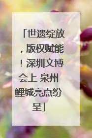 世遗绽放，版权赋能！深圳文博会上 泉州鲤城亮点纷呈