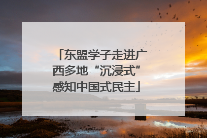 东盟学子走进广西多地“沉浸式”感知中国式民主