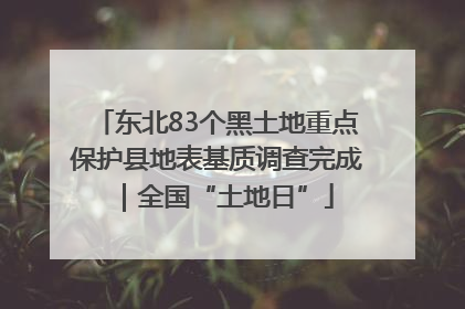 东北83个黑土地重点保护县地表基质调查完成｜全国“土地日”