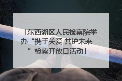 东西湖区人民检察院举办“携手关爱 共护未来”检察开放日活动
