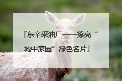 东辛采油厂——擦亮“城中家园”绿色名片