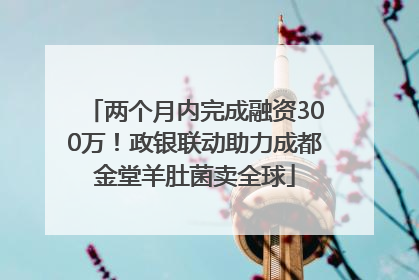 两个月内完成融资300万！政银联动助力成都金堂羊肚菌卖全球