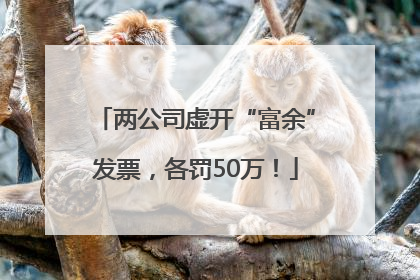 两公司虚开“富余”发票，各罚50万！
