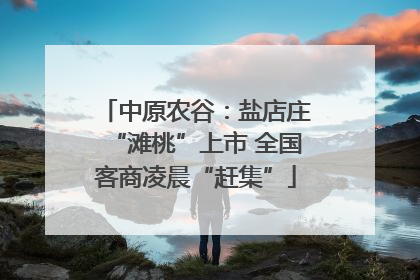 中原农谷：盐店庄“滩桃”上市 全国客商凌晨“赶集”