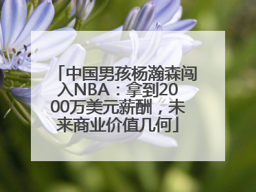 中国男孩杨瀚森闯入NBA：拿到2000万美元薪酬，未来商业价值几何