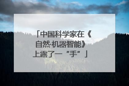 中国科学家在《自然·机器智能》上露了一“手”