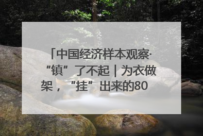 中国经济样本观察·“镇”了不起｜为衣做架，“挂”出来的80亿元“衣架产业”