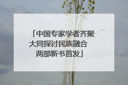 中国专家学者齐聚大同探讨民族融合 两部新书首发