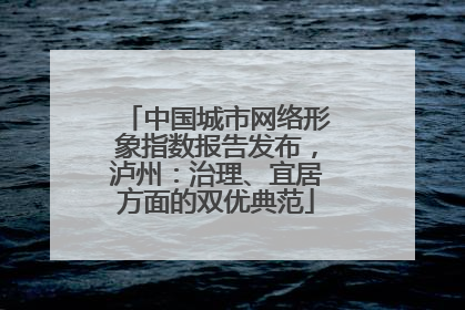 中国城市网络形象指数报告发布，泸州：治理、宜居方面的双优典范