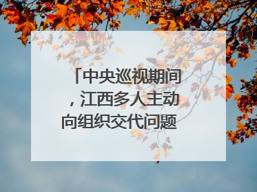 中央巡视期间，江西多人主动向组织交代问题｜打虎拍蝇