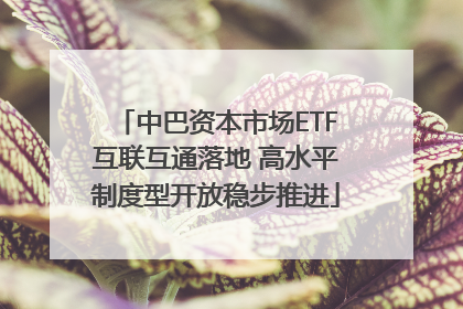 中巴资本市场ETF互联互通落地 高水平制度型开放稳步推进