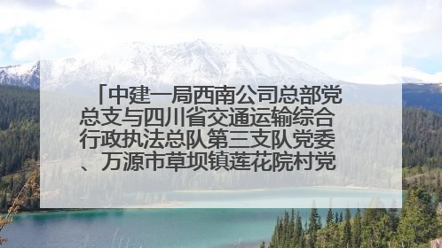 中建一局西南公司总部党总支与四川省交通运输综合行政执法总队第三支队党委、万源市草坝镇莲花院村党支部开展党建联建