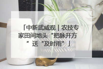 中新武威观｜农技专家田间地头“把脉开方”送“及时雨”