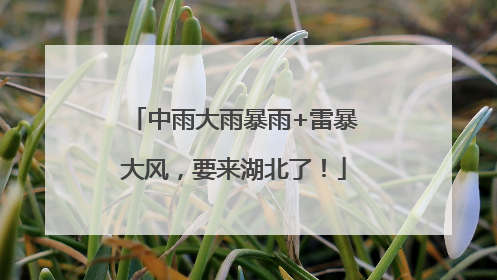 中雨大雨暴雨+雷暴大风，要来湖北了！