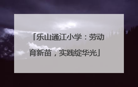 乐山通江小学：劳动育新苗，实践绽华光