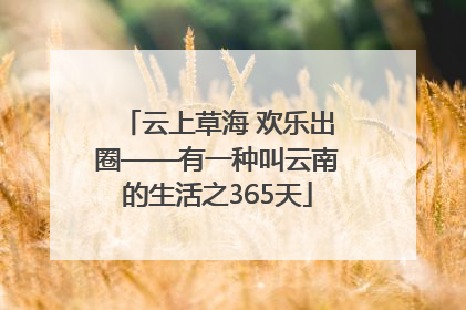 云上草海 欢乐出圈——有一种叫云南的生活之365天