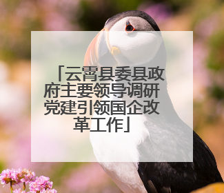 云霄县委县政府主要领导调研党建引领国企改革工作