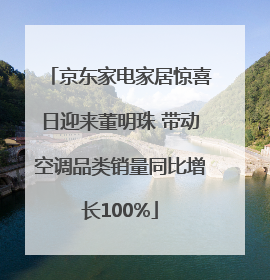 京东家电家居惊喜日迎来董明珠 带动空调品类销量同比增长100%
