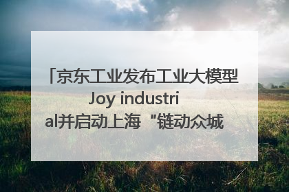 京东工业发布工业大模型Joy industrial并启动上海“链动众城 万亿降本”计划