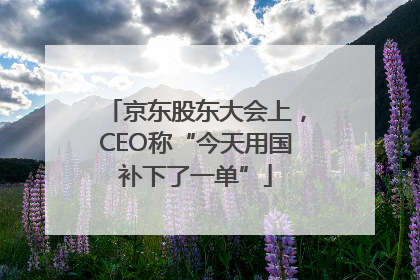 京东股东大会上，CEO称“今天用国补下了一单”