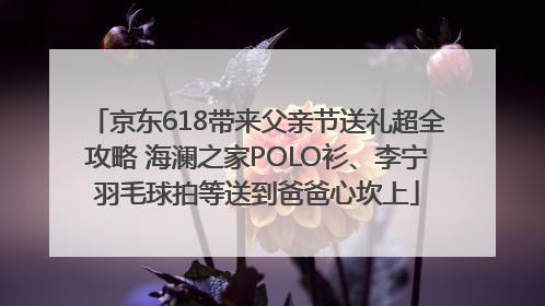 京东618带来父亲节送礼超全攻略 海澜之家POLO衫、李宁羽毛球拍等送到爸爸心坎上