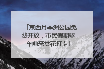 京西月季洲公园免费开放，市民假期驱车前来赏花打卡