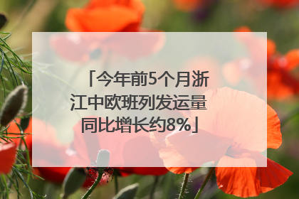 今年前5个月浙江中欧班列发运量同比增长约8%