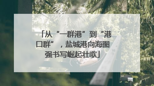 从“一群港”到“港口群”，盐城港向海图强书写崛起壮歌