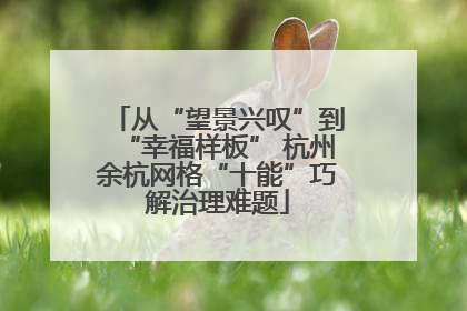 从“望景兴叹”到“幸福样板” 杭州余杭网格“十能”巧解治理难题