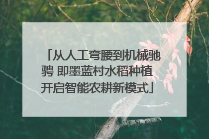 从人工弯腰到机械驰骋 即墨蓝村水稻种植开启智能农耕新模式